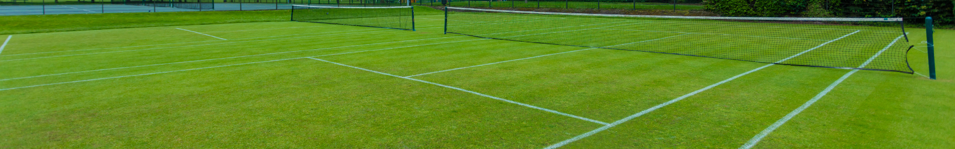 court de tennis gazon synthétique surface